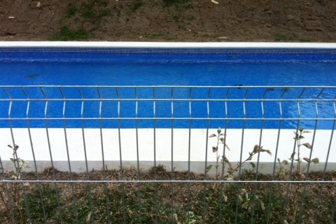 la foto (24)