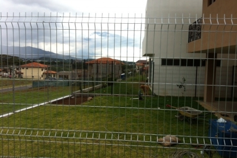 la foto (35)