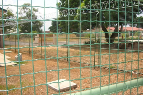 pic5