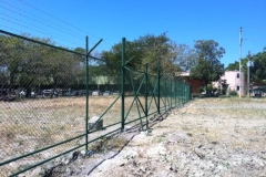 pic5