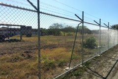 pic9